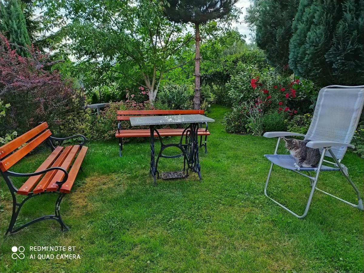 Apartament Apartament Radochów 138G Lądek-Zdrój Zewnętrze zdjęcie